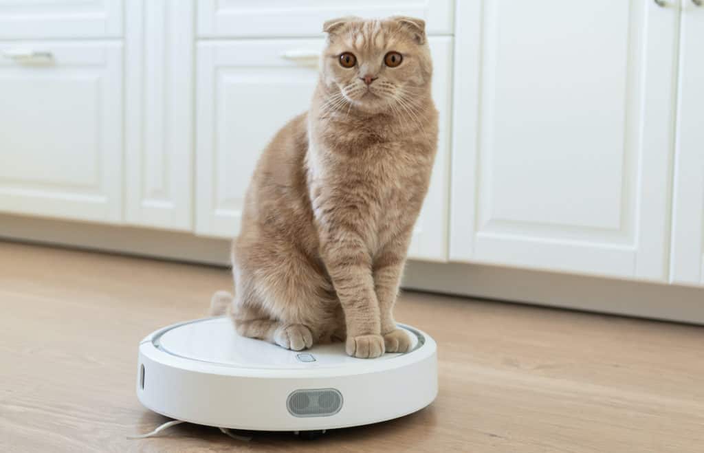 cat in roomba