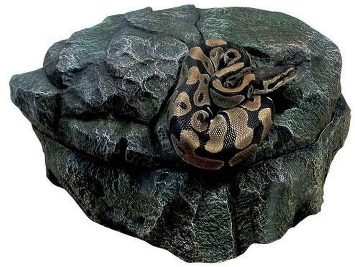 The Best Hides For Snakes Ultimate Guide Pets Gal