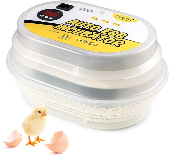 bird egg incubator for sale in utah petco